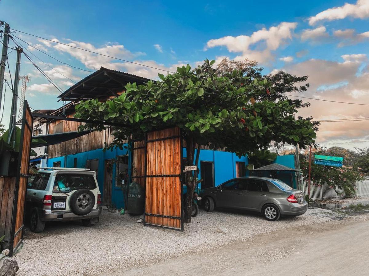 Hostel Marisol Sámara Εξωτερικό φωτογραφία
